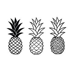 Fototapeta premium three Pineapple vector illustration, outline, silhouette, isolated on white background 