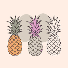 Fototapeta premium three Pineapple vector illustration, outline, silhouette, isolated on white background 