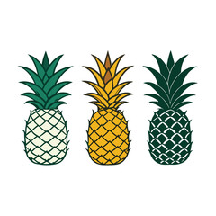Fototapeta premium three Pineapple vector illustration, outline, silhouette, isolated on white background 