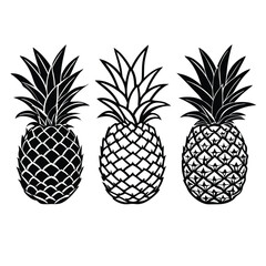 three Pineapple vector illustration, outline, silhouette, isolated on white background 