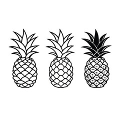 Fototapeta premium three Pineapple vector illustration, outline, silhouette, isolated on white background 