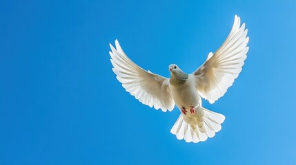 Fototapeta premium Photo of a dove flying against the sky, feeling of peace and hope 