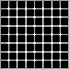 Hermann grid. Transparent PNG of Vector graphic optical illusion. All the small circles are white, but as the eye moves around, the circles on the periphery appear black