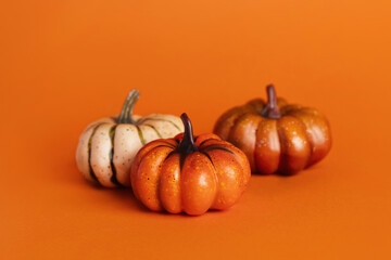 Pumpkin Group on orange background autumn photo