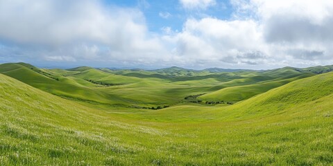 Fototapeta premium Panoramic view of rolling hills, stretching into the distance, filled with green meadows