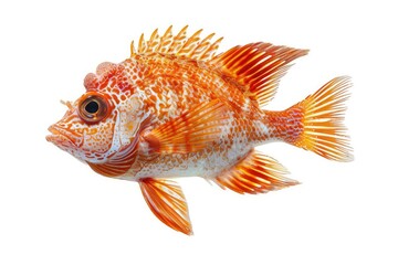 poisson d'avril. Illustration of a funny fish on a white background isolate. Concept under card and text. April Fools' Day Generative AI