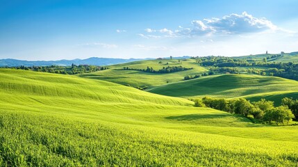 Fototapeta premium Rolling hills landscape with lush green fields under a clear blue sky, peaceful scenery