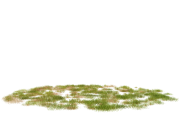 Green grass patch isolated on black background