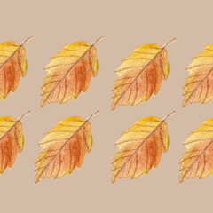 Asian oak leaf in orange shades hand painted watercolor seamless border on beige background. High quality art in simple style for woodland designs, cards, posters, textile, packages, textile