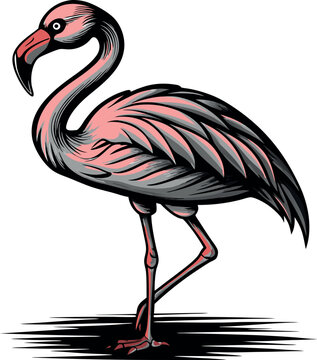 pink flamingo standing, side view clip art preview