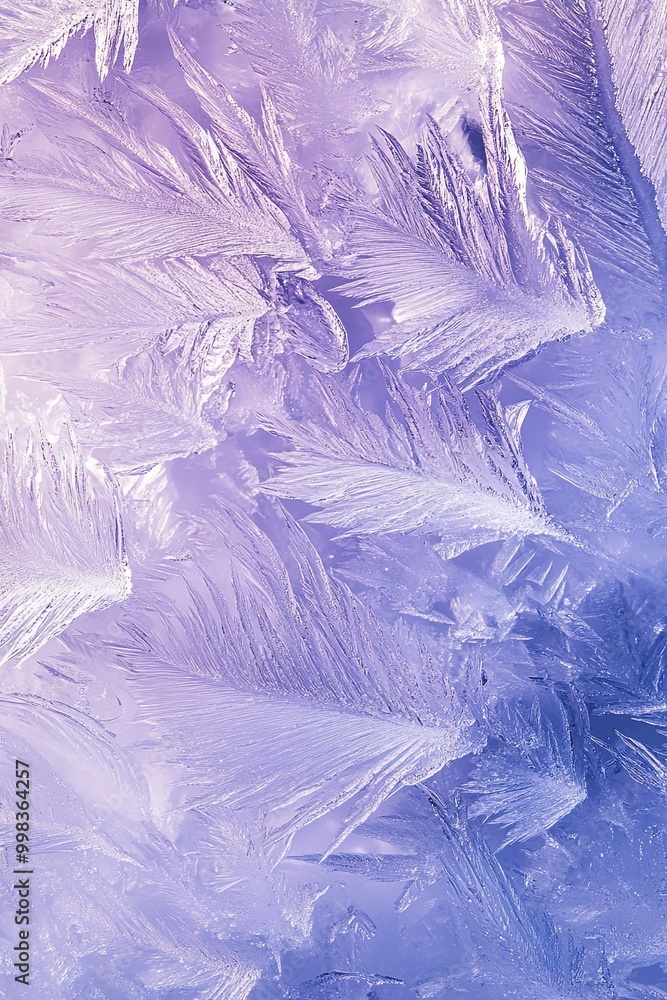 Poster exquisite macro view of frost patterns in soft purple and blue hues..