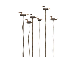 traditional bird model