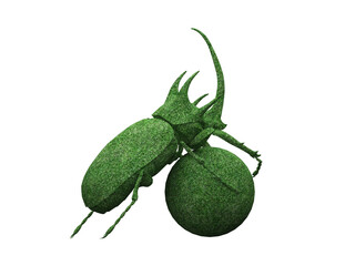 Dung beetle Topiary