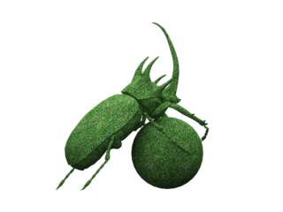 Dung beetle Topiary
