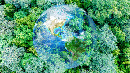 Aerial top view of green forest tree, Tropical rain forest tree ecosystem and healthy environment, Texture and background of green tree forest.