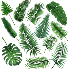 seamless pattern with fern leaves on transparent background png