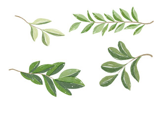 An exquisite and artistic collection of handpainted green leaves and beautiful foliage