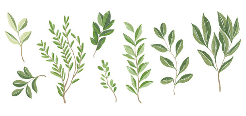 An exquisite and artistic collection of handpainted green leaves and beautiful foliage