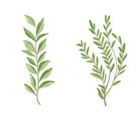 An exquisite and artistic collection of handpainted green leaves and beautiful foliage