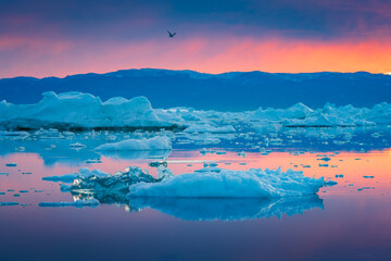 Disko Bay is a large bay on the western coast of Greenland. 