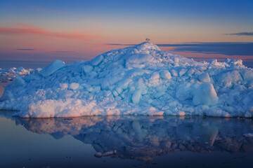Disko Bay is a large bay on the western coast of Greenland. 