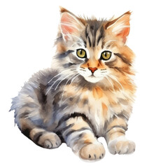 PNG Pet mammal animal kitten.