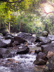 The stream flowing through the rocks in forest.
