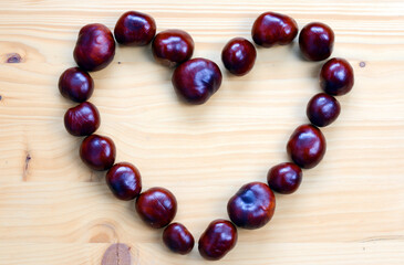 Horse Chestnuts (Aesculus hippocastanum) with chestnut leaves, seeds and capsules