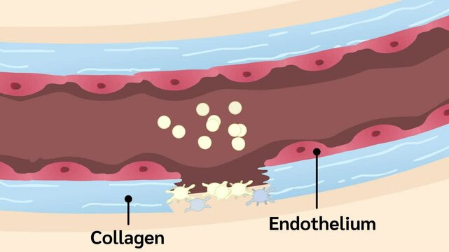 Tissue repair by platelets on body