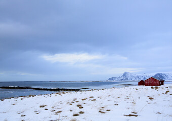 Tipica casa rossa lungo la Strada nazionale turistica (Norwegian Scenic Route Andøya) in inverno (febbraio). Isole Vesteralen, Andoya, Norvegia	