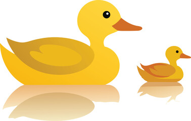 Mother Duck and Duckling Swimming Together Vector Illustration