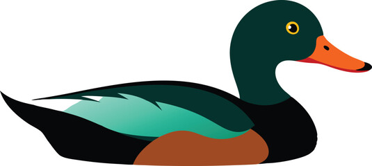 Shallow Water Reflections Duck Vector Illustration 