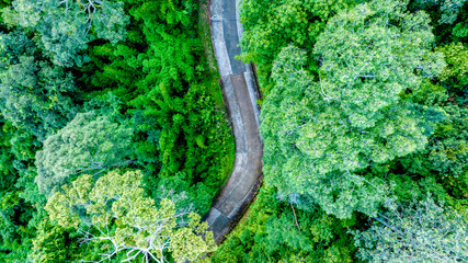 Aerial top view road in forest with car motion blur. Winding road through the forest. Car drive on the road between green forest. Ecosystem ecology healthy environment road trip.