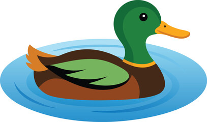 Detailed Mallard Duck Swimming in Calm Pond Vector Illustration