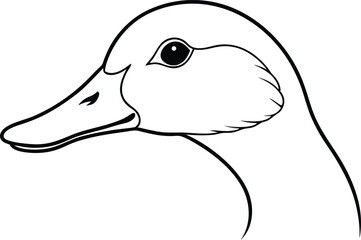 Detailed Duck Beak and Eyes in Profile View Vector Illustration for Kids