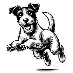 Parson-Russell-Terrier
