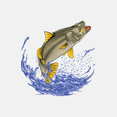 vector logo jump barramundi fishing