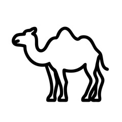 Camel: The Ship of the Desert