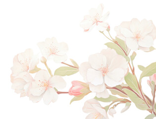 PNG Pink sakura flowers backgrounds blossom pattern.