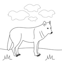 Winter Sunrise in a fogy days landscape design.