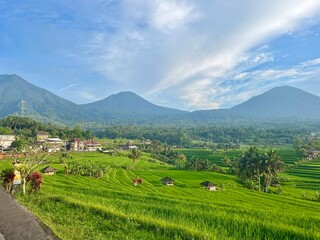 Scenic Rice Terraces of Jatiluwih Village in Bali