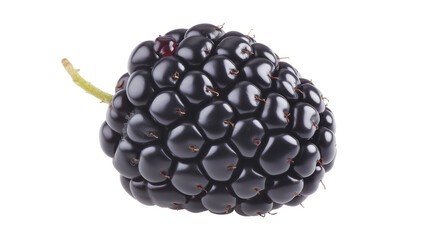 Organic blackberry fruit image isolated transparent. Ripe brambleberry cut out photo png. Healthy...