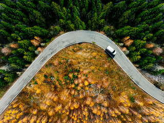 Aerial view of winding road with van car in autumn color forest