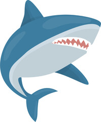 Cute shark cartoon
