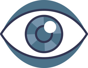 Simple vector illustration of an eye with pupil, iris, and outline.