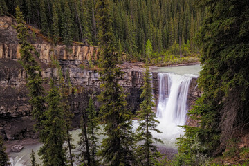 Waterfall cascading down rocky cliff framed by evergreen trees