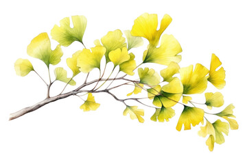 Obraz premium PNG Tree leaf yellow plant.