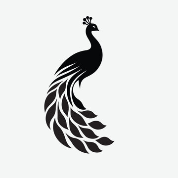 Peacock icon silhouette vector art illustration 