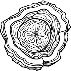 wooden cross section drawing
