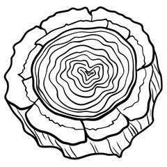 wooden cross section drawing

